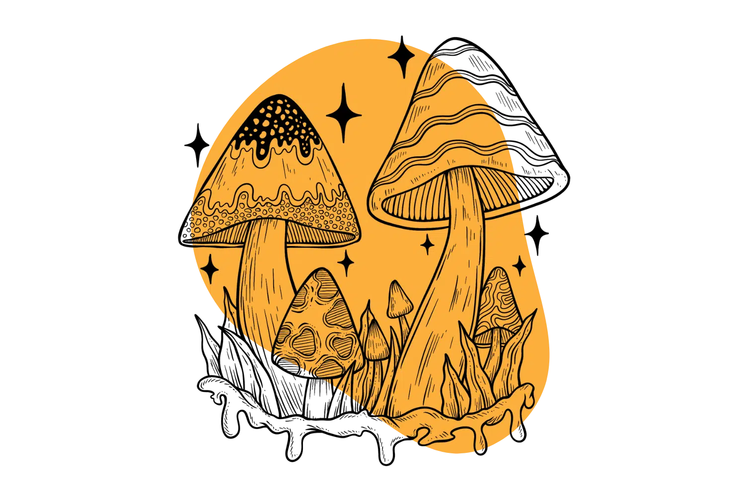 Do-Shrooms-go-Bad-Cover.png